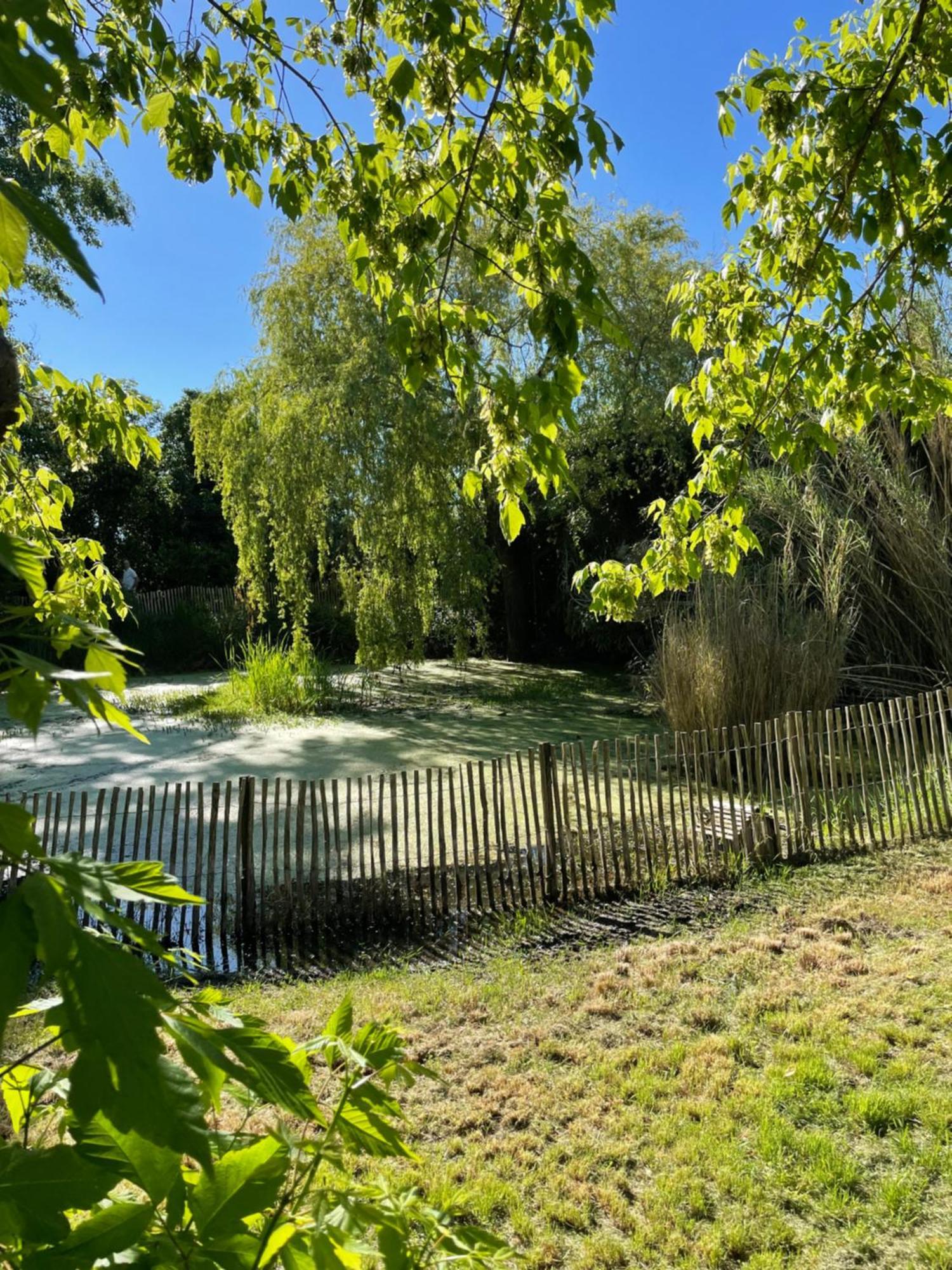 Instant Zen Bed & Breakfast Saint-Vivien-de-Medoc Bagian luar foto